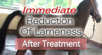 Immediate Reduction Of Lameness For Racehorses With VET Sonotron Mark2'